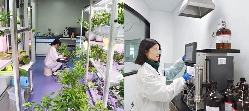 打造新朝陽生物科技“五張名片”，服務農業高質量發展！