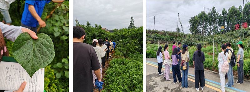 首個(gè)!中國農(nóng)業(yè)大學(xué)攜手新朝陽啟動(dòng)“朝陽稼穡計(jì)劃”